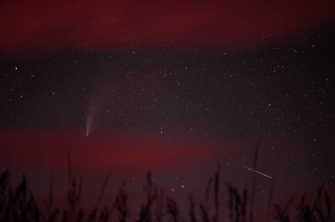La Comet Neowise et une Etoile Filante Lefaivre, ON