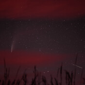 La Comet Neowise et une Etoile Filante