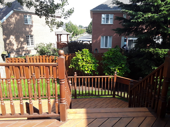 Backyard looking refreshed following yesterday's rain August 3rd, 2020 Centennial Scarborough, ON