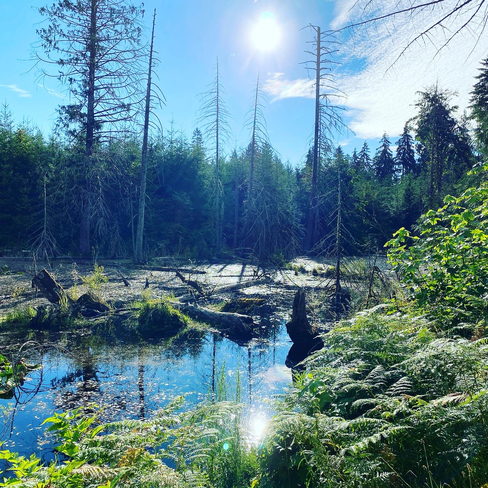The Great Trail Shawnigan Lake, British Columbia, CA