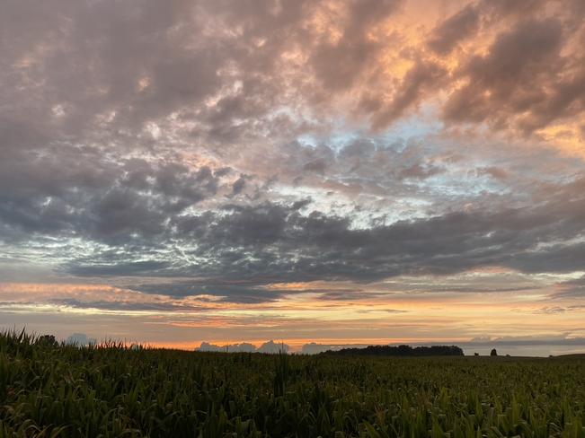 Cloudy sunset Waterloo, Ontario, CA