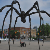Basilique menacée par l&#39;imminente invasion de la monstrueuse araignée wooh...