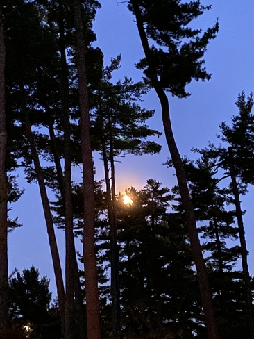 Moonrise Gravenhurst, Ontario, CA