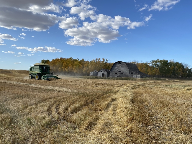 Harvest 2020 West Bend, Saskatchewan | S0A 4M0