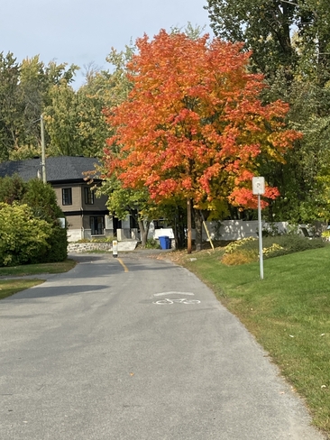 Couleurs d’automne Rosemère, Québec | J7A 3P9