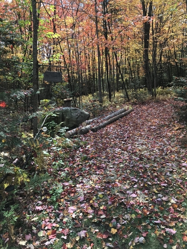 Sentier d’automne Saint-Raymond, Québec, CA