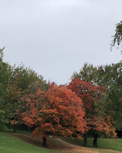 Paysage d’automne Montréal, Québec, CA