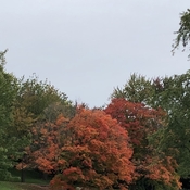 Paysage d’automne