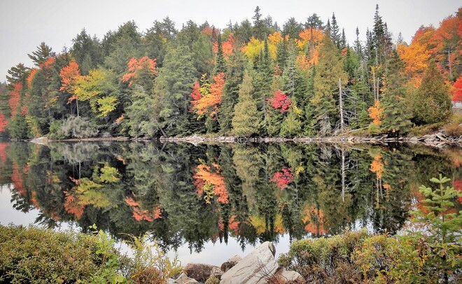 Fall Colors in Algonquin Park Algonquin Provincial Park, Ontario 60, Ontario