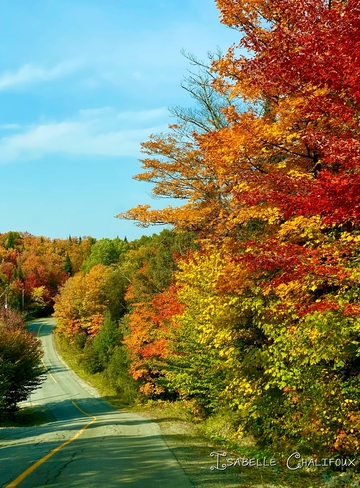 La route aux couleurs des Laurentides Saint-Sauveur, Québec, CA