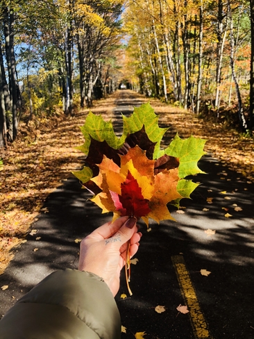 Journée d’automne 🍂🍁 Sorel-Tracy, Québec, CA