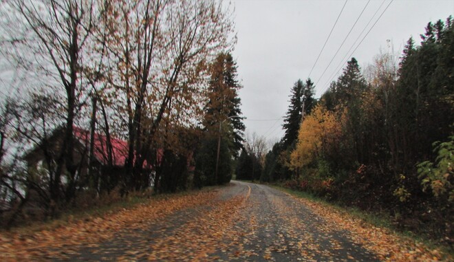 les couleurs d'automne Véloroute des Bleuets, Chambord, QC G0W 1G0, Canada