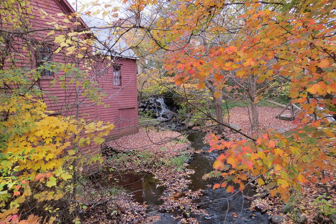 Autumn. Bridgewater, NS