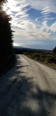 Logging Road with a view! Port Renfrew, BC