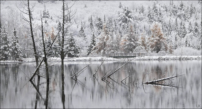 Morning snow, Elliot Lake. Elliot Lake, ON