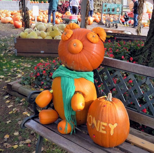 The cute pumpkins Abbotsford, BC