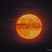 Pleine lune du 30 octobre 2020