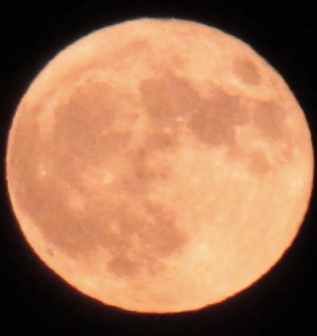 Halloween moon Hamilton, Ontario, CA