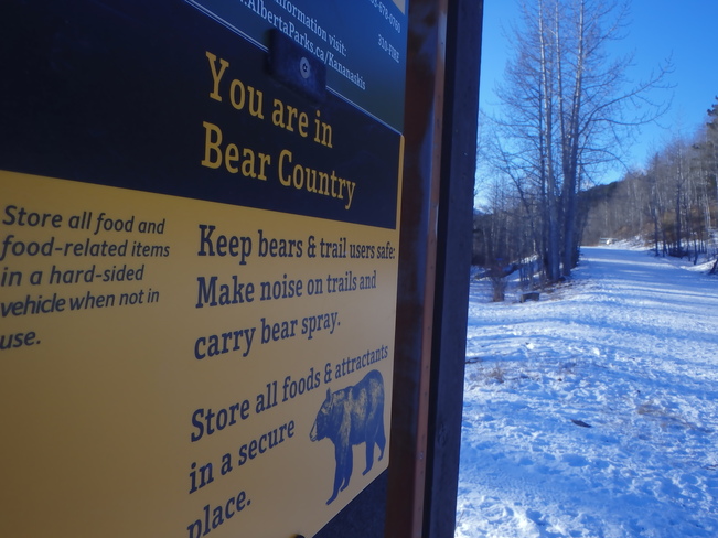 Beware of Bears ... Calgary