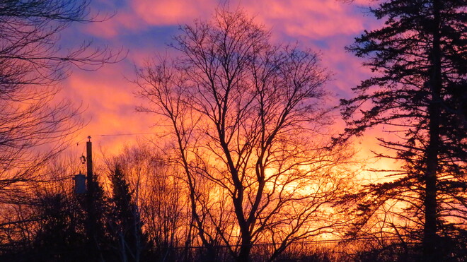 Spectacular Sunrise Fredericton, NB