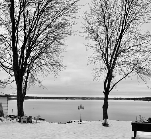 Winter on the lake Ebbs Bay, Drummond/North Elmsley, ON