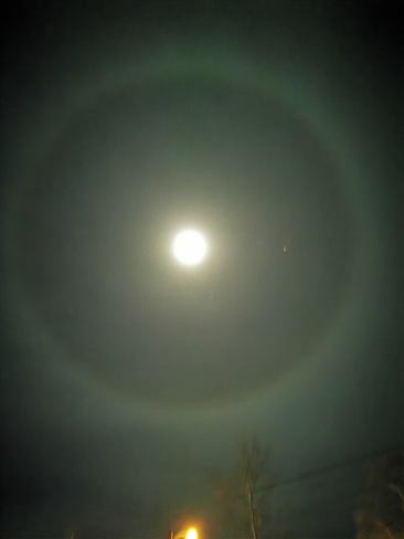 Large circle around the Moon! l Deer Lake, NL