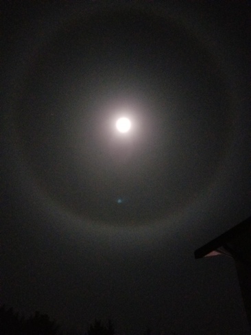 moon ring Courtenay, BC