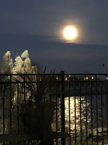 Beaver moon .. on the water Kingston, Ontario | K7L 5E3