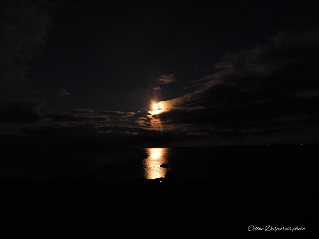 Pleine lune sur la mer. Chemin Alcida, Alcida-et-Dauversière, NB