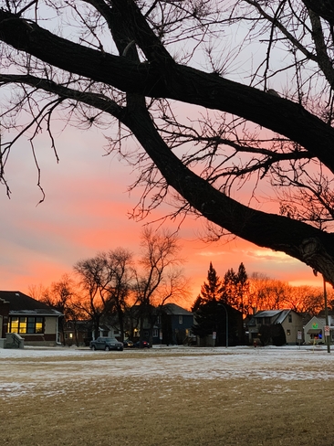 When the sun goes down! Winnipeg, Manitoba, CA