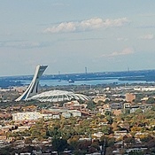 Vues du Mont-Royal vers le stade olympique