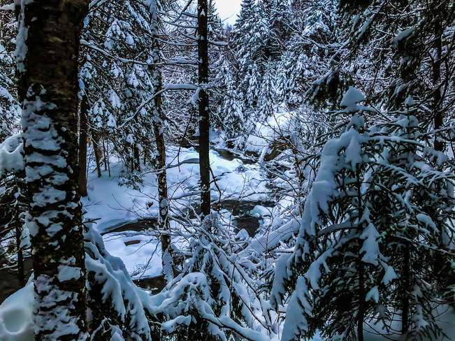 Couvert de neige Parc régional du Massif du Sud, Route du Massif-du-Sud, Saint-Philémon, QC