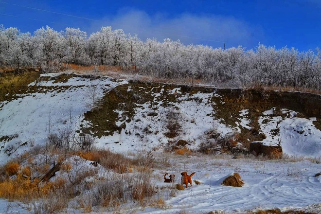 frosty mornings Pilot Mound, MB