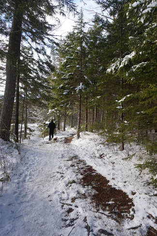 trail walk Mount Uniacke, NS