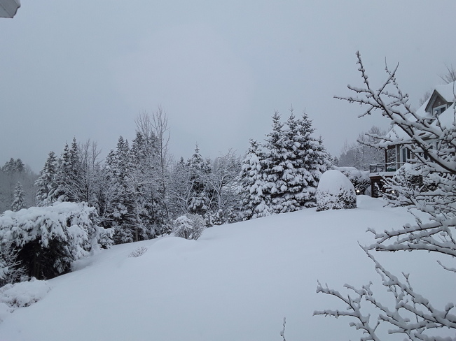 Blancheur hivernale! Sainte-Agathe-des-Monts, QC