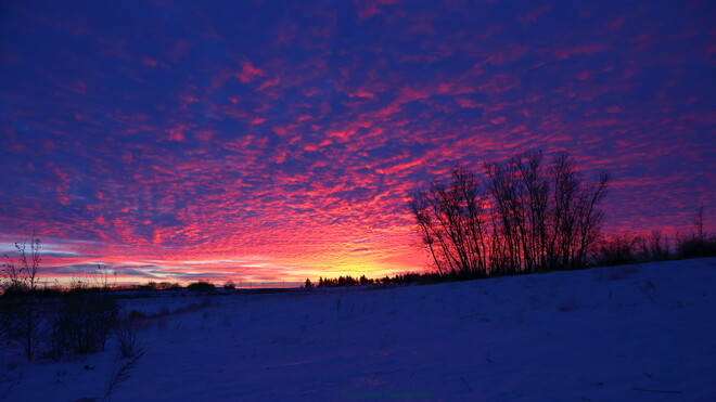 Sunrise Saskatoon, SK