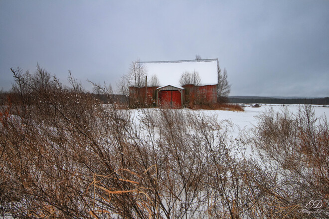 Une ferme rouge dans un champs de neige Bromont, QC