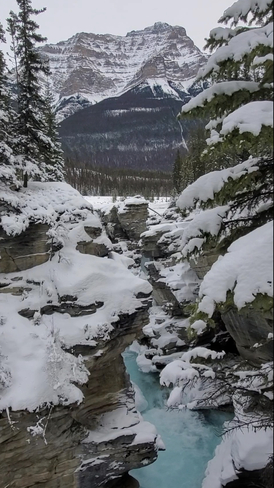 Rockies beauty!! Banff, Alberta, CA