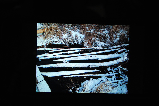 Winter logs. Brampton, CANADA
