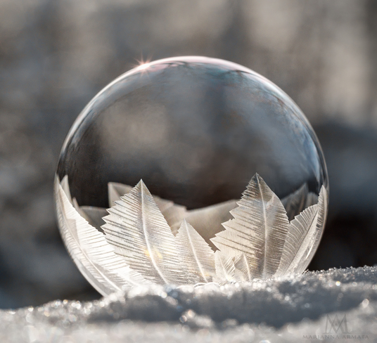 Frigid weather makes beautiful frozen bubbles Pierrefonds, Pierrefonds-Roxboro, Montreal, QC