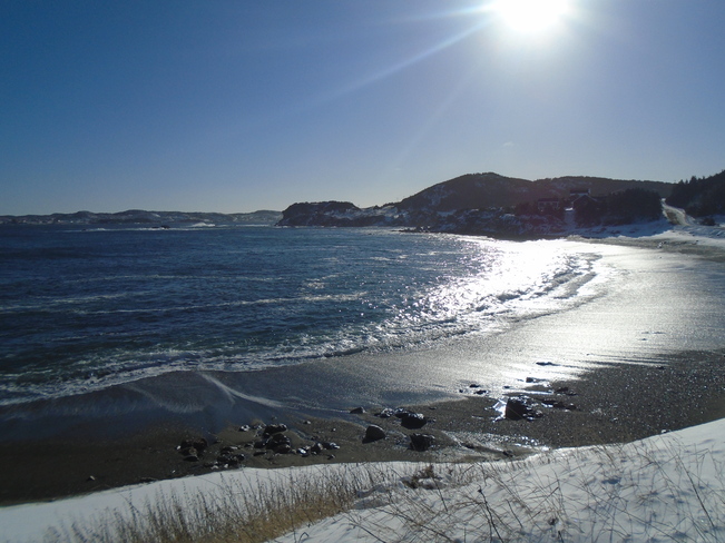 share your weather . Twillingate, NL