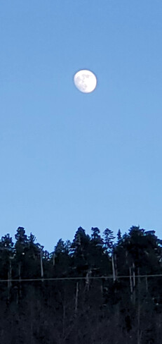 430 pm moon Hartley Bay, BC