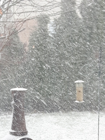Snow Storm Squall Burlington, ON