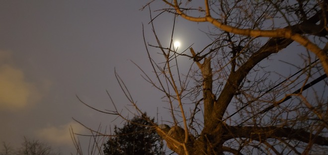 Moon night Kennedy Park, ON