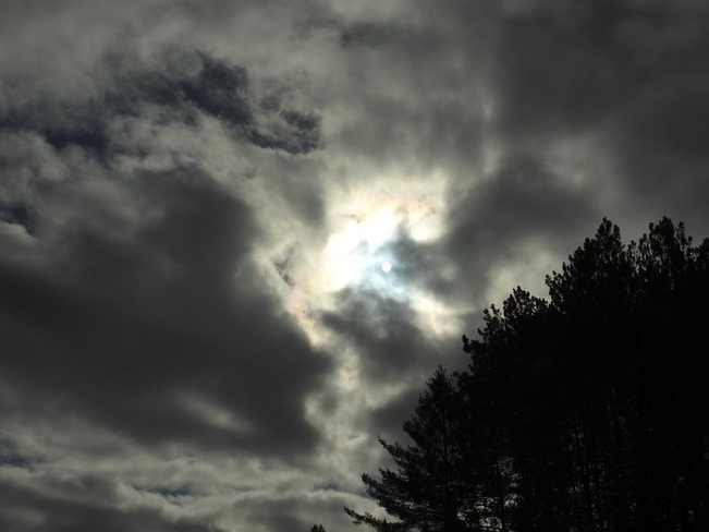 Midday sky in Algonquin Provincial Park Algonquin Park, ON