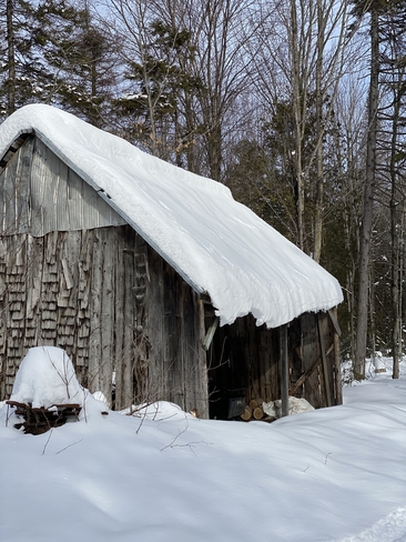 Cabane à bois 🪵 Saint-Henri, Québec | G0R 3E0