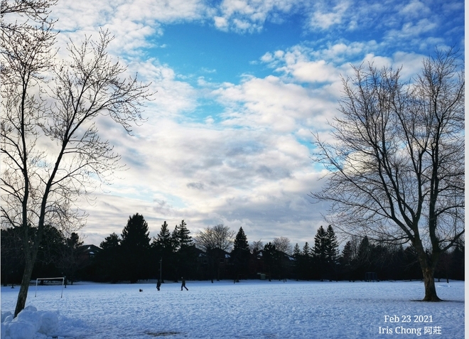 Nature beauty - Amazing cotton clouds before sunset - Feb 23 2021 Thornhill, ON