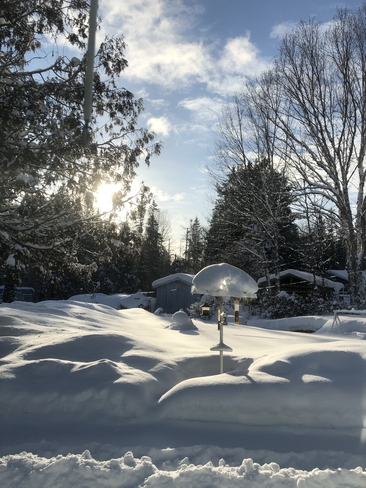 Oh Beauté d’hiver à Rockway Valley Amherst, Québec, CA