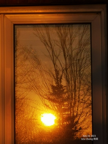 Golden sunset - Mirror reflection - Feb 26 2021 Thornhill, ON