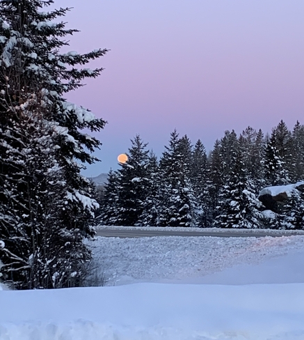 Lune rosée par un matin de février Mont-Tremblant, Québec, CA
